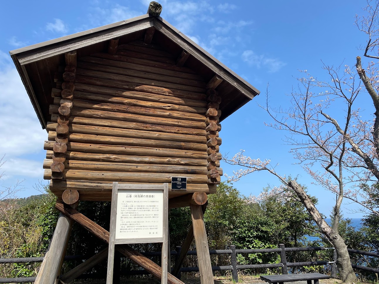 なぜか、魚見台横の桜だけ開花が遅い・・・