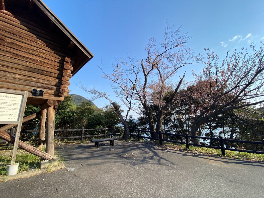 魚見台北側、2本の桜はソメイヨシノと八重桜