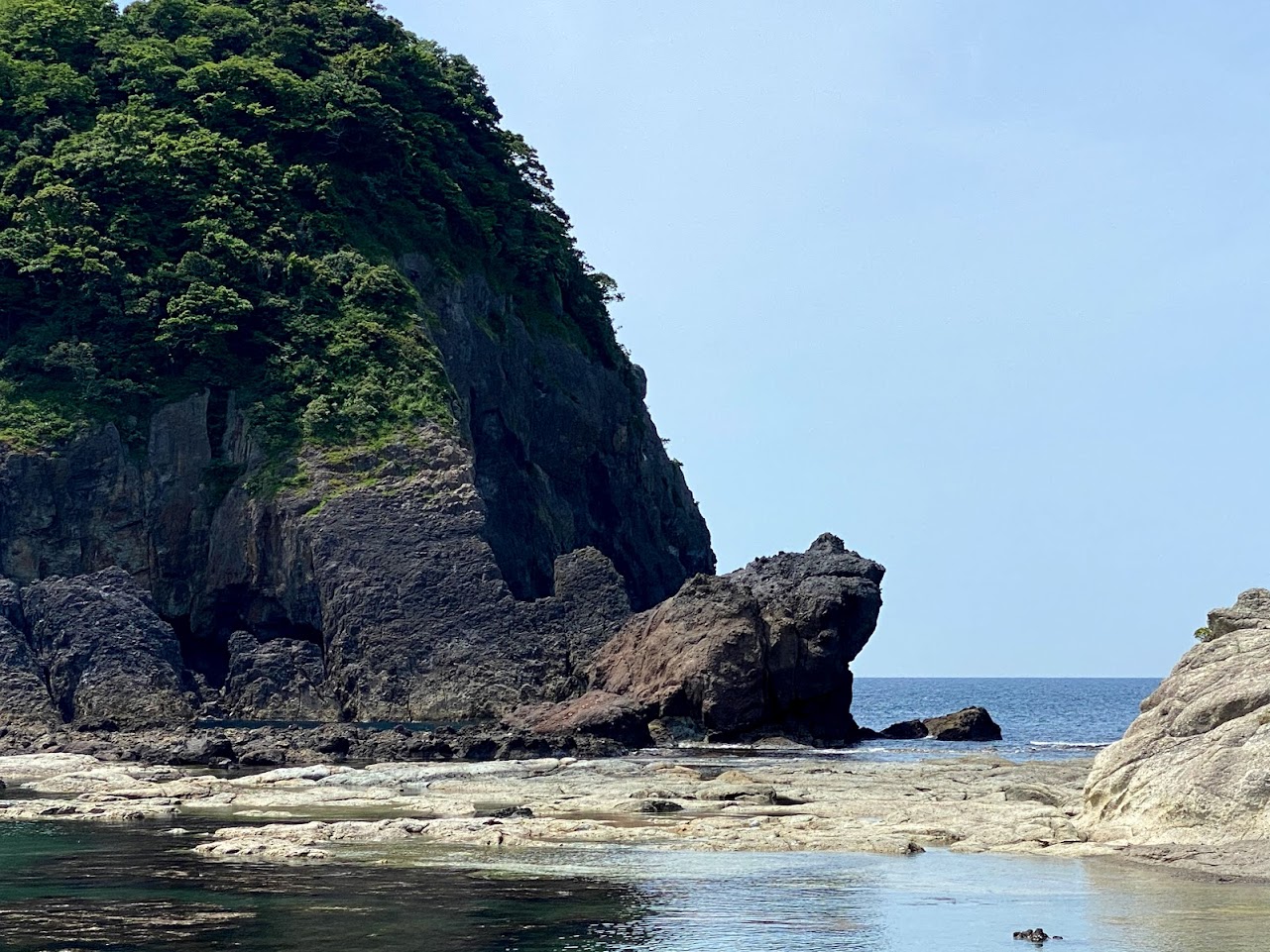 かえる島