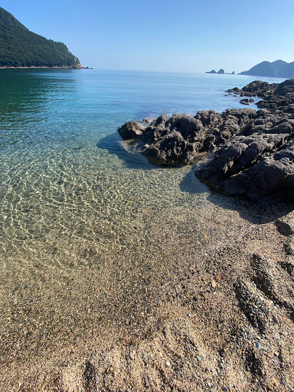 近深だと水底の見える範囲以上遠くへは行かない