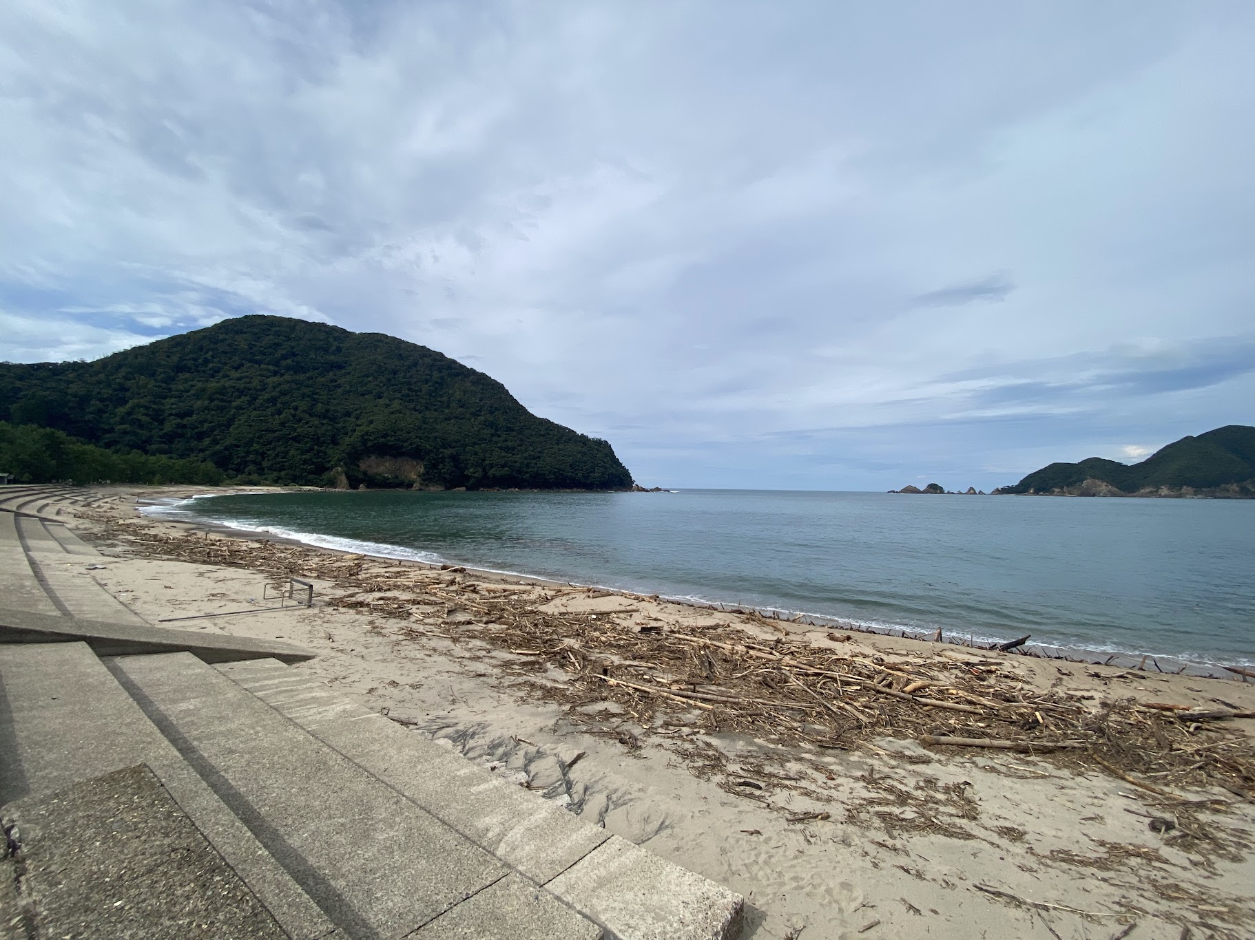 大量の流木（佐津海水浴場R5.8.17.撮影）