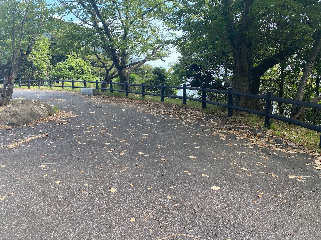 落ち葉だらけとなっていた魚見台の駐車場