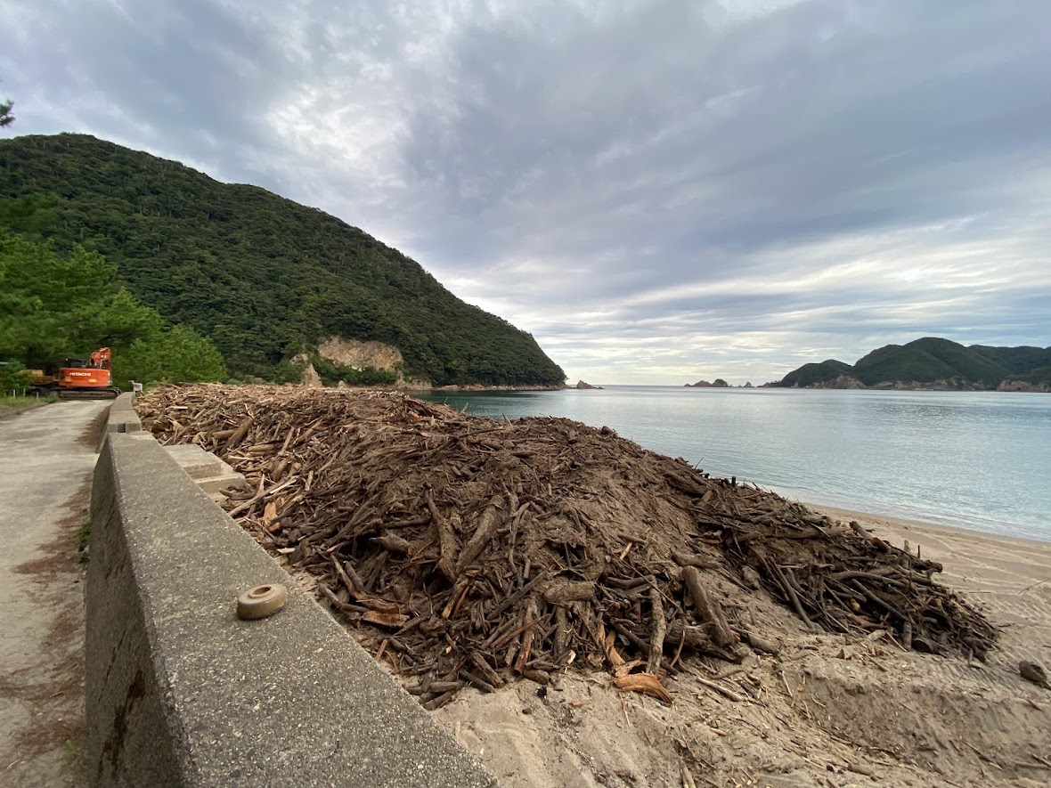 集められたたくさんの流木