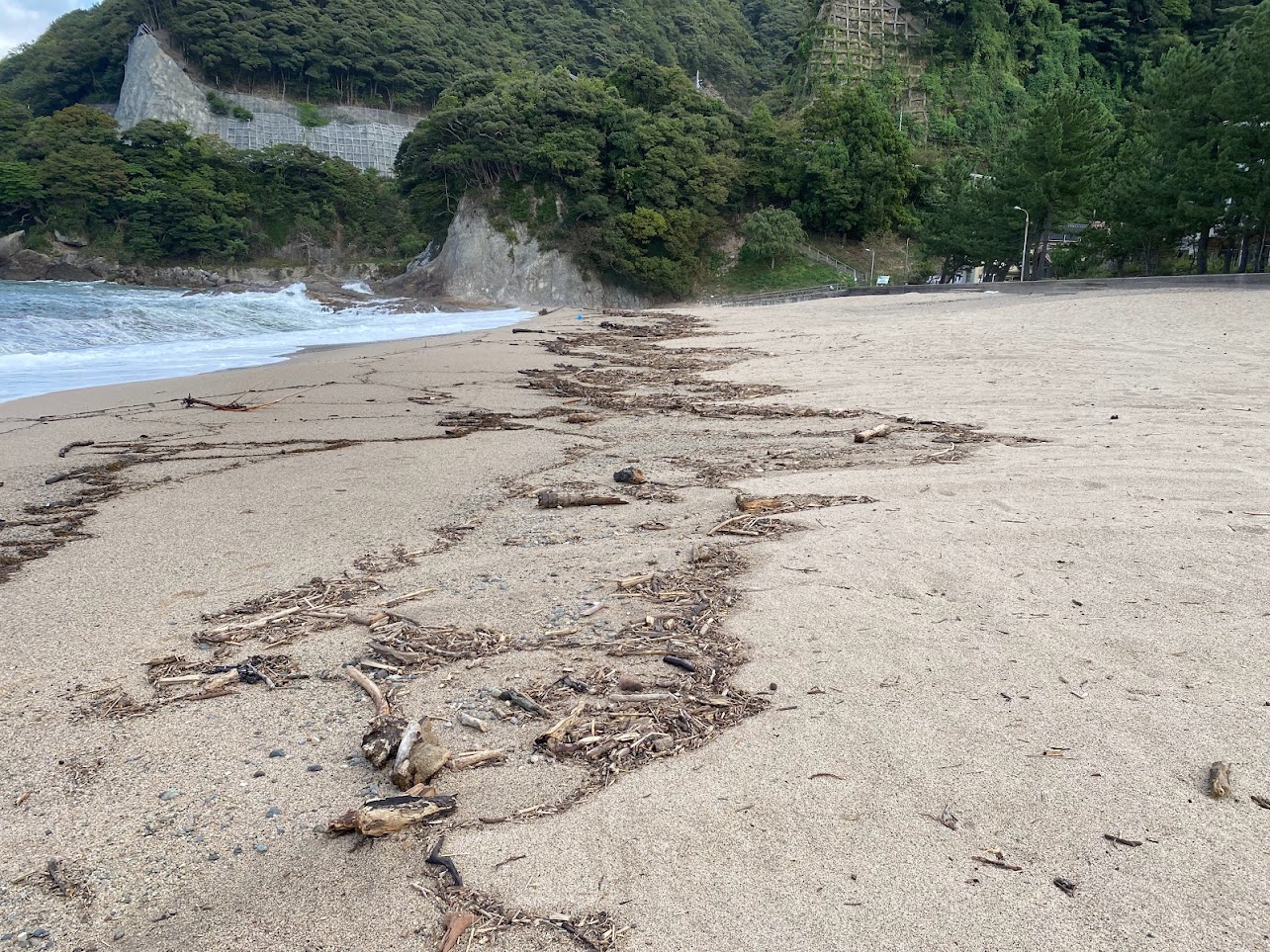 波の形に縁取った残りの小さな流木