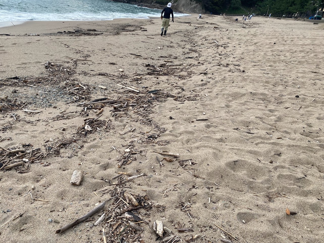 佐津浜に流木が再び