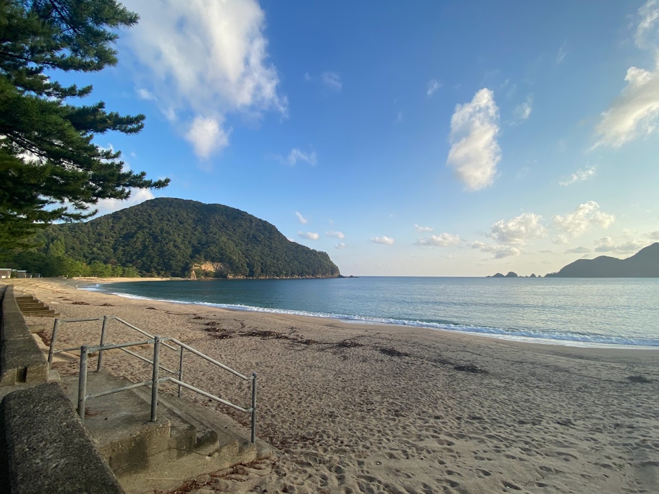 海岸清掃の際にまとめた流木はまだ若干残っています