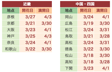 近畿・中四国地方の桜の開花予想２０２４
