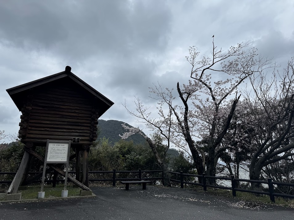 魚見台の桜