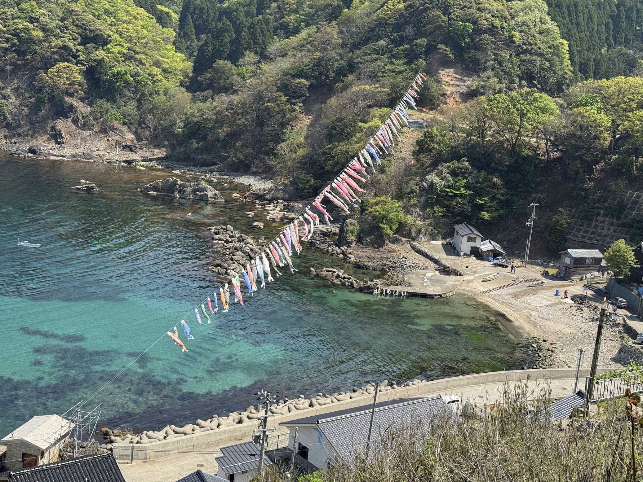 鎧駅から見下ろす海上こいのぼり（R7.4.26.撮影）