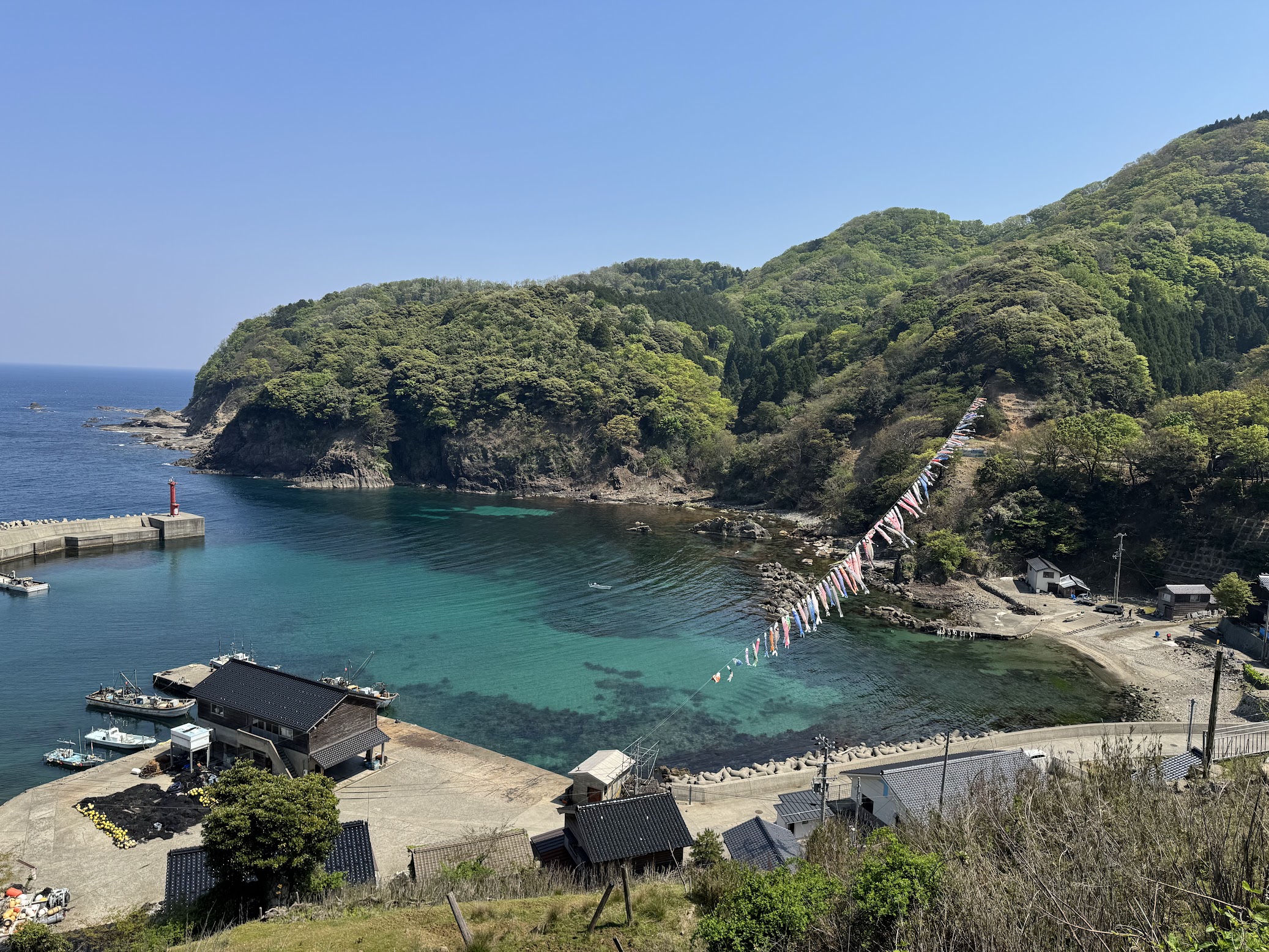 鎧駅から見下ろす海上こいのぼり(R7.4.26.撮影)