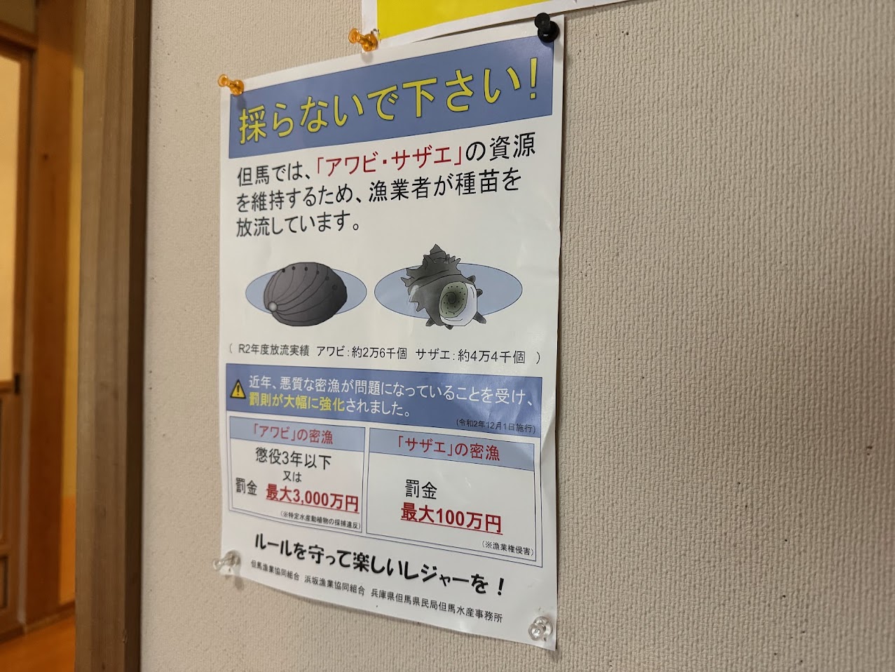 密漁禁止についてのチラシ