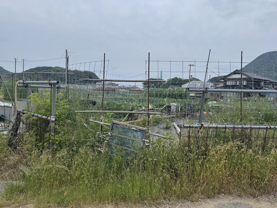 畑に柵をするのは一般的になりました