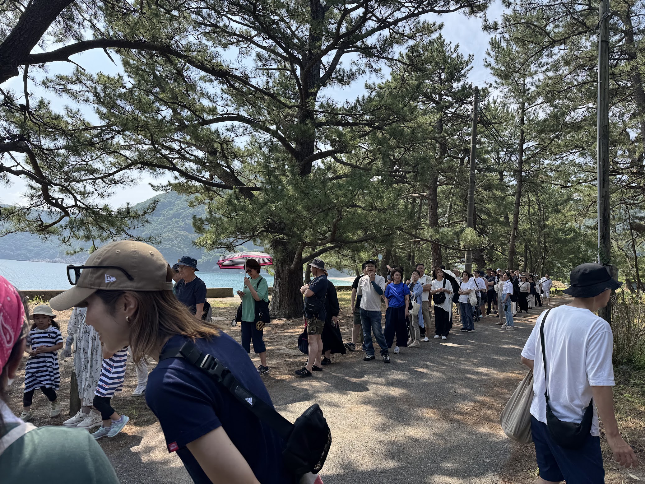イカの捌き方教室に申し込みの行列が