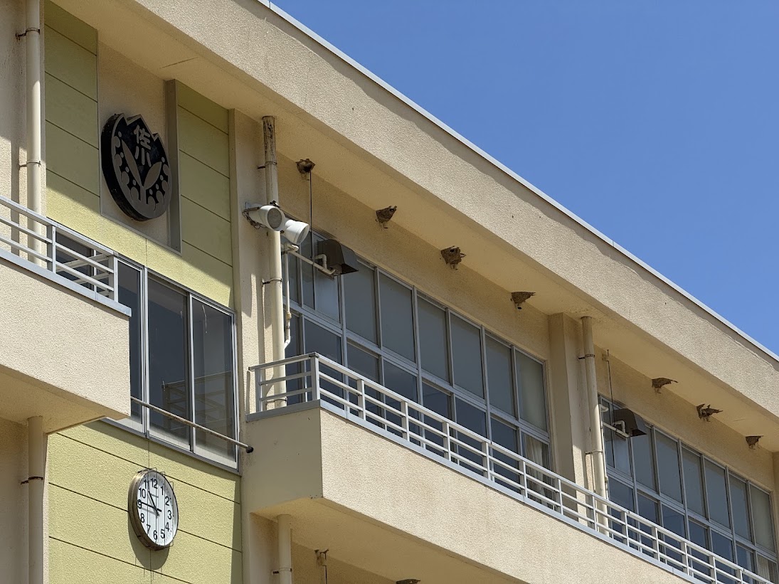 旧佐津小学校校舎にある燕の巣