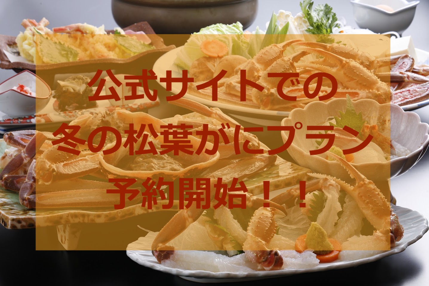 冬の松葉がにプランの予約について