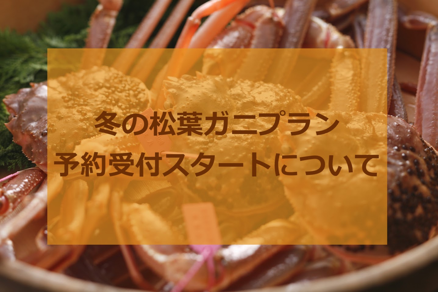 冬の松葉ガニプランの予約受付について