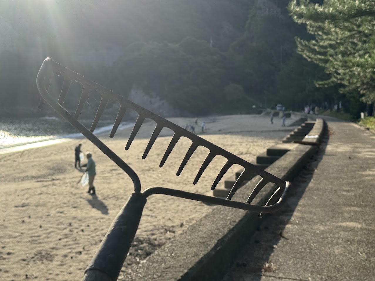 秋恒例の海水浴場の大清掃