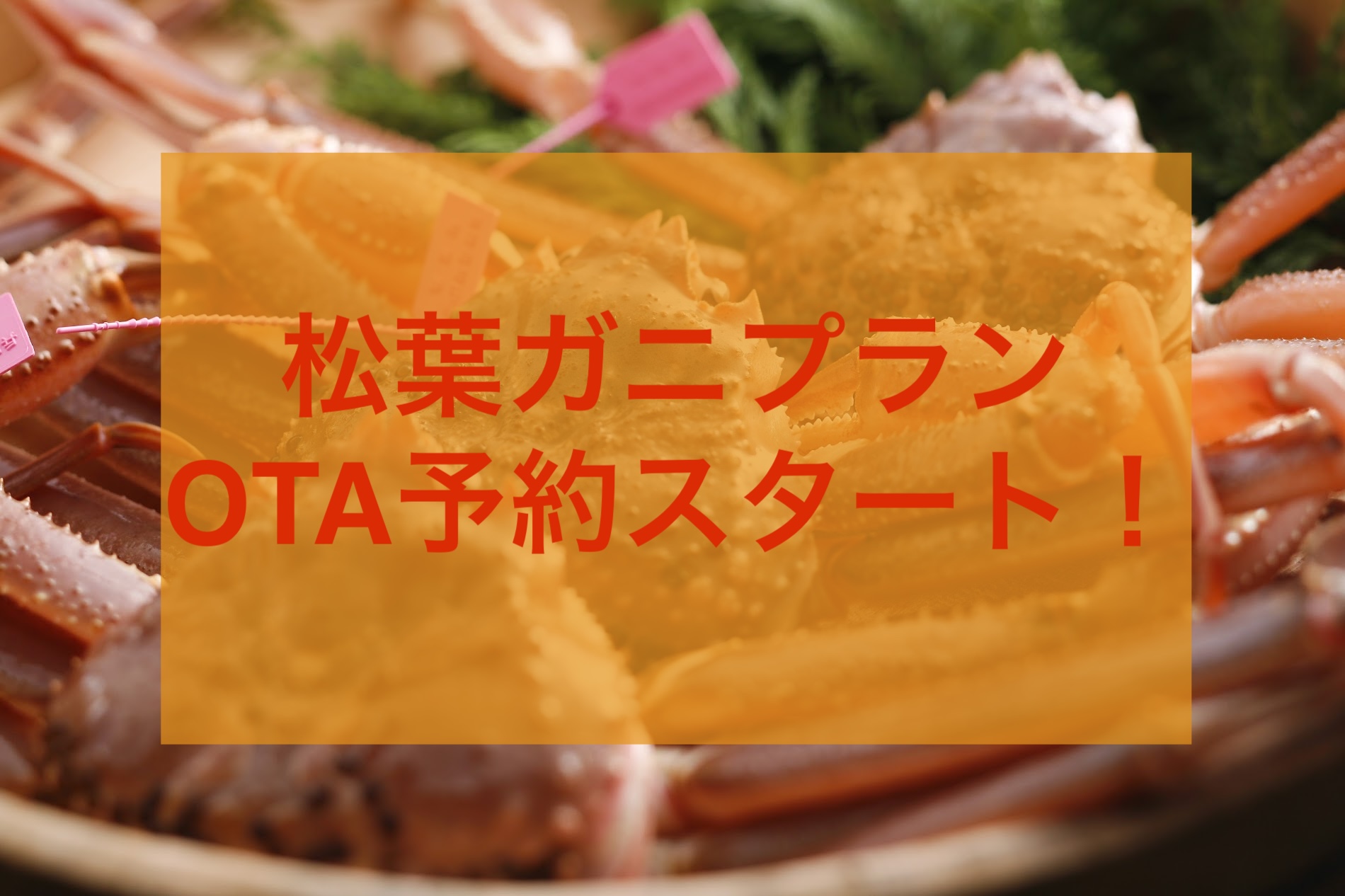 松葉ガニプランのOTA予約開始