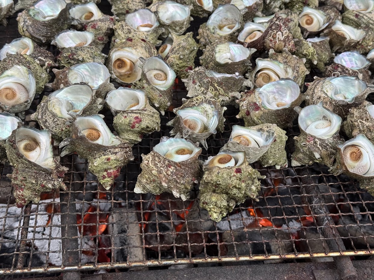 BBQでサザエ