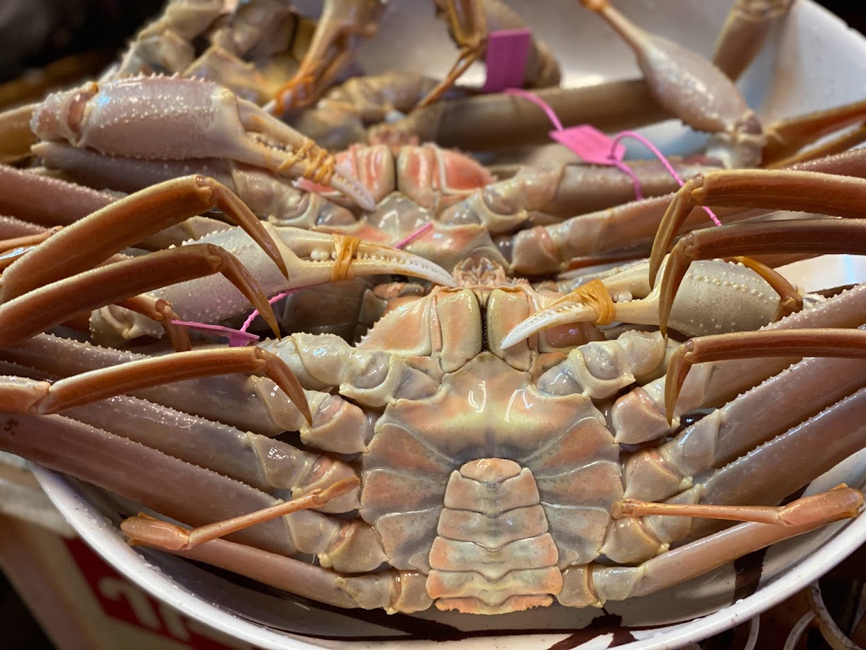 番がにクラス!柴山がに(大)