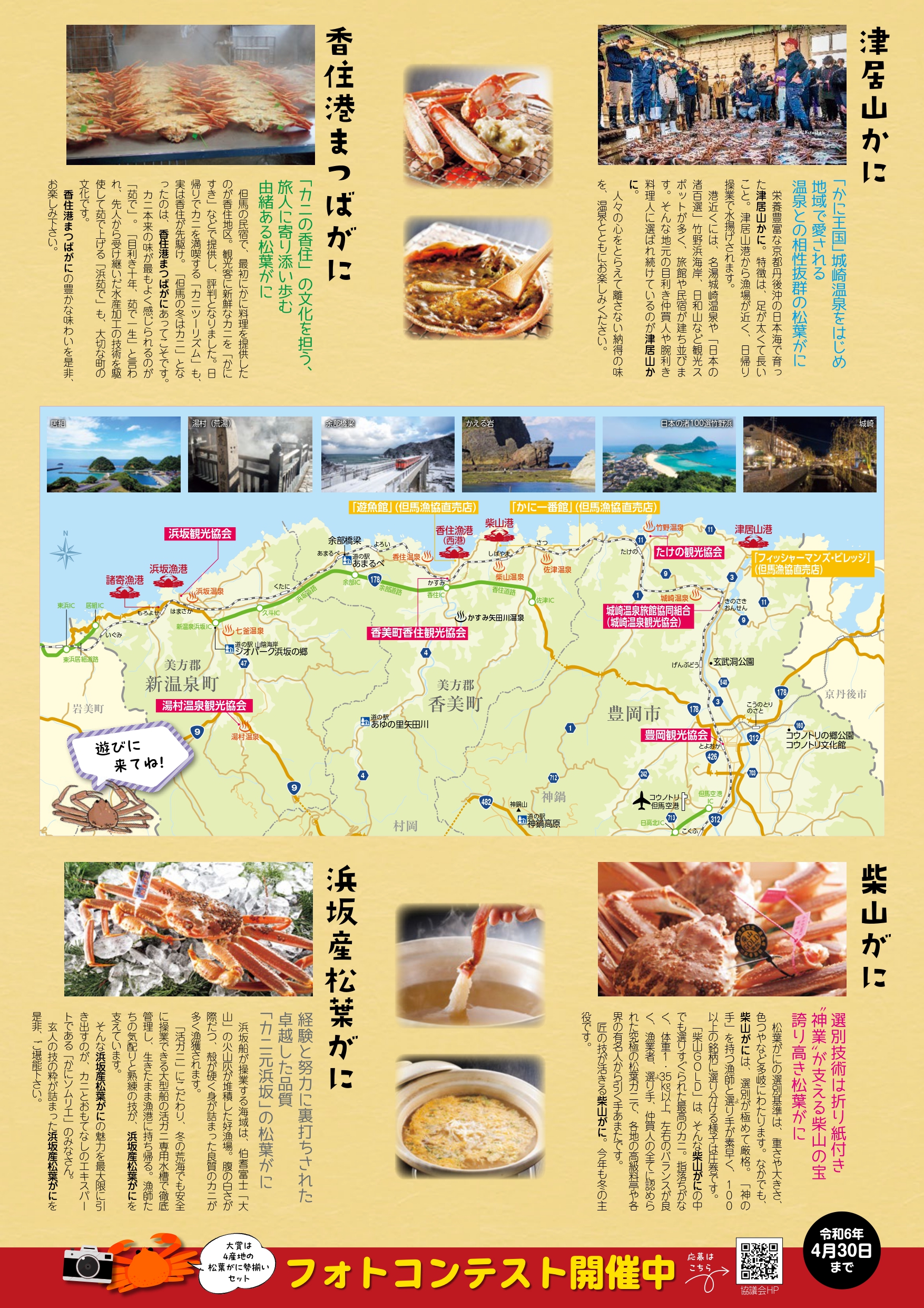 ひょうご但馬産松葉がにパンフレット（裏）