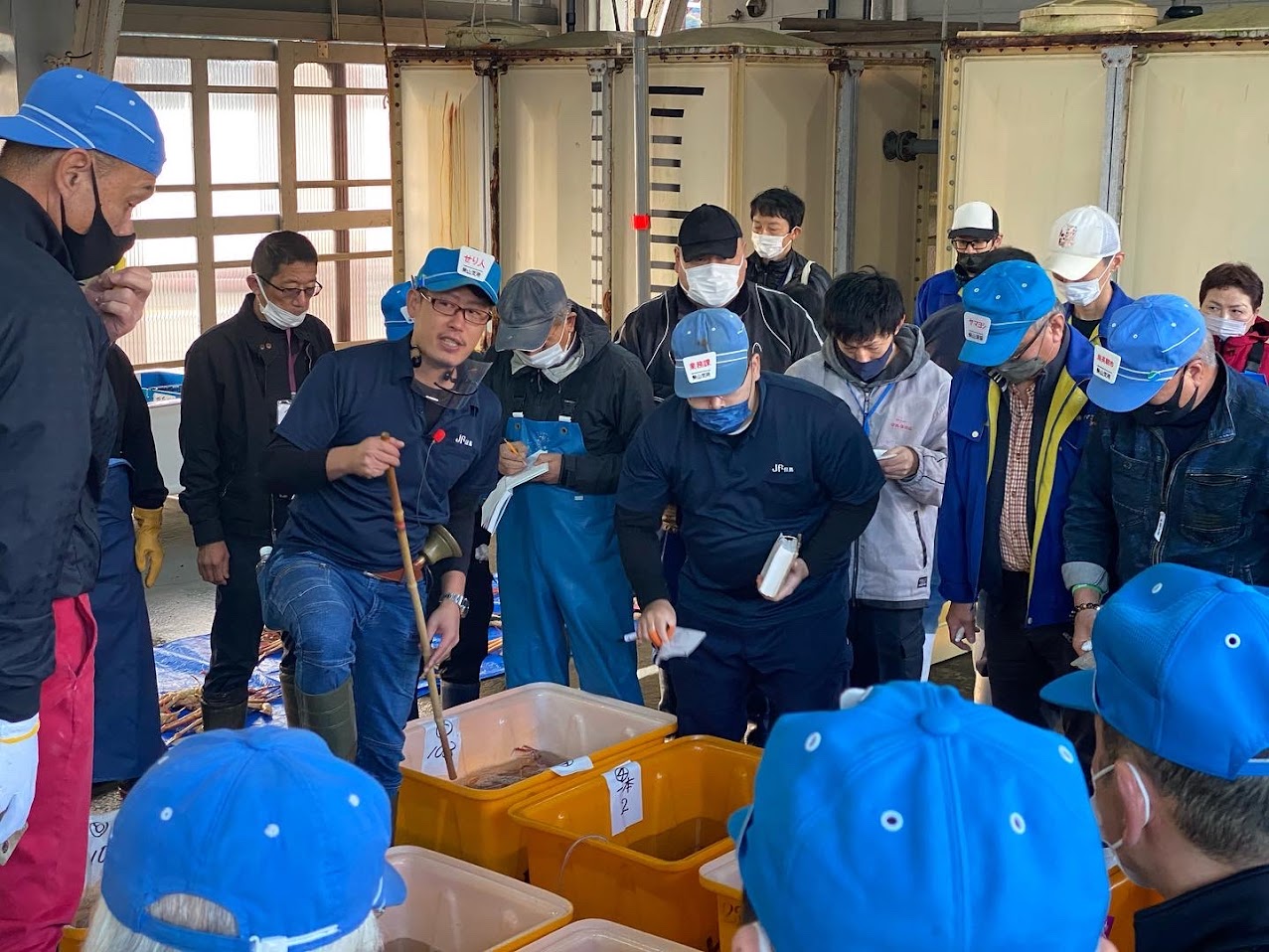 柴山港での松葉がに競りの様子