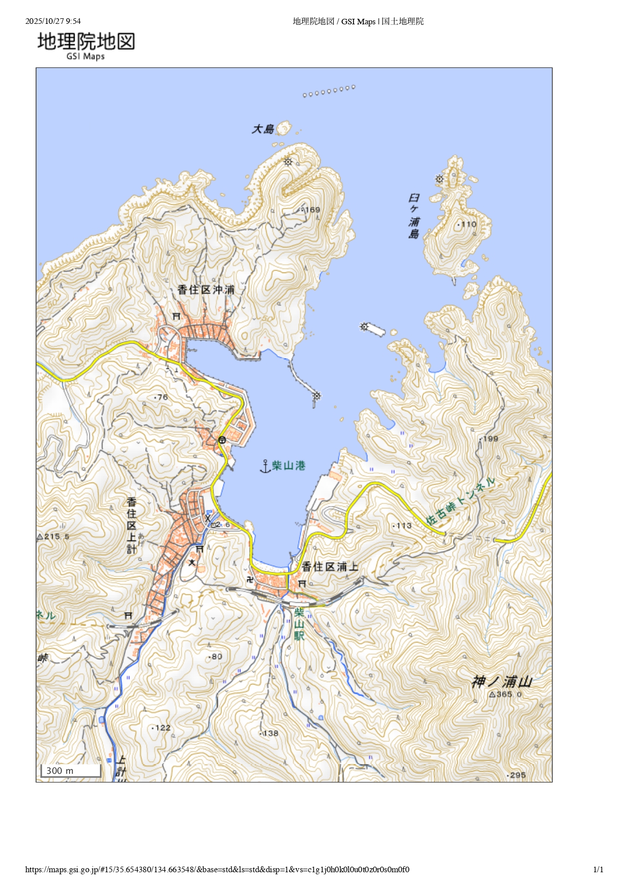 柴山港（国土地理院地図より）