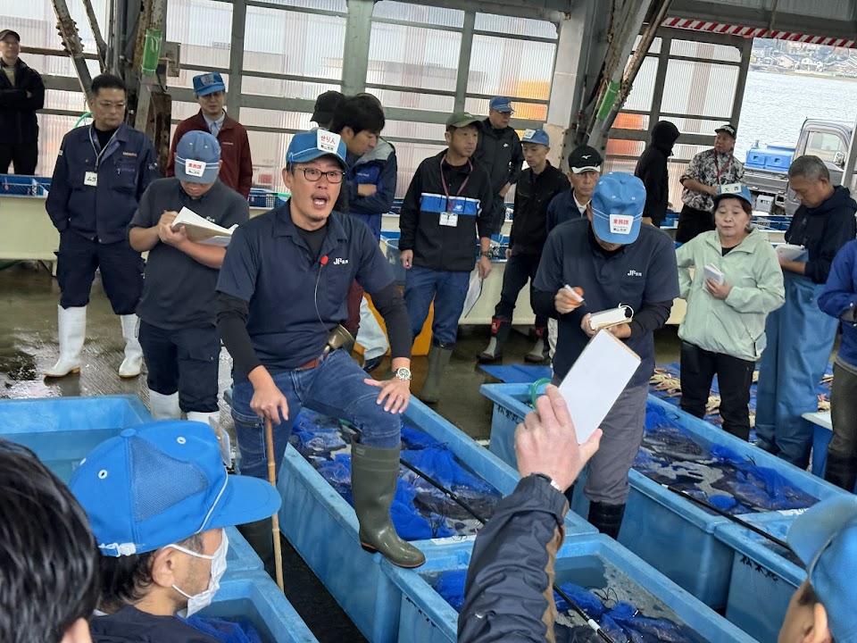 柴山港での競りにて