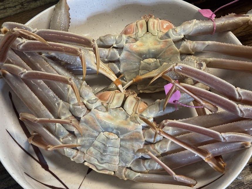 柴山がに（大）