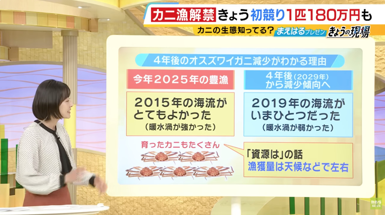 MBSカニの少子化問題の特集ニュースより