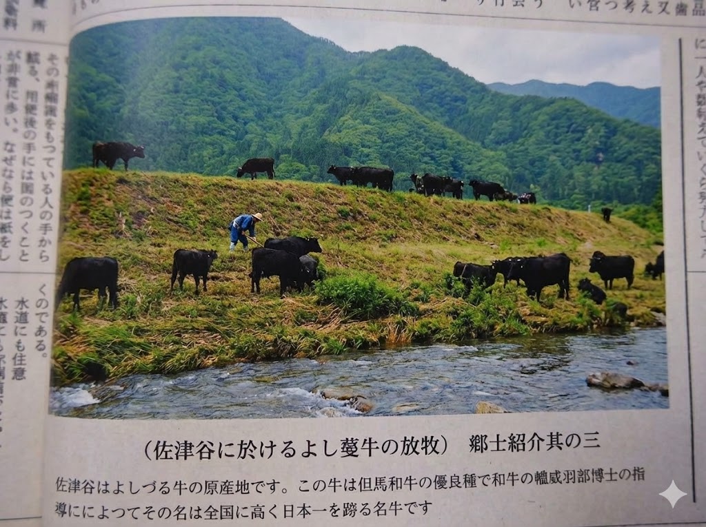 カラー処理した昭和20年代の佐津川河川敷