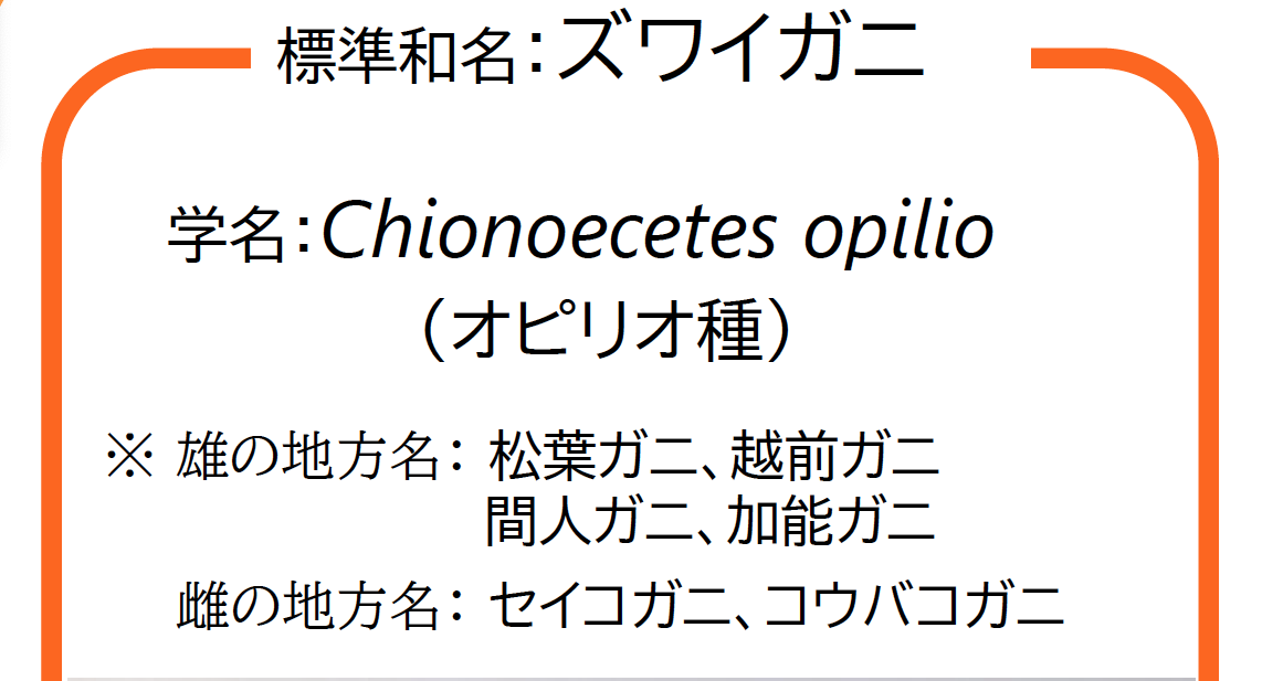 ズワイガニの地方名称