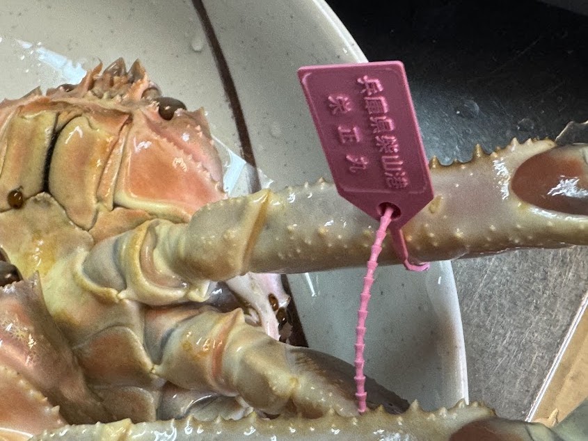 タグ付活柴山がに