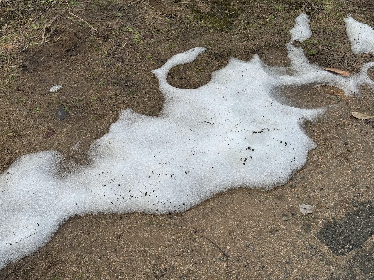 かろうじて残雪、あります（R8.2.15.AM)