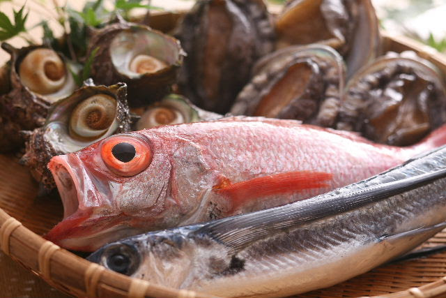 サザエやアワビなど