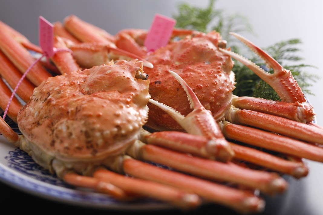 タグ付茹で柴山がに