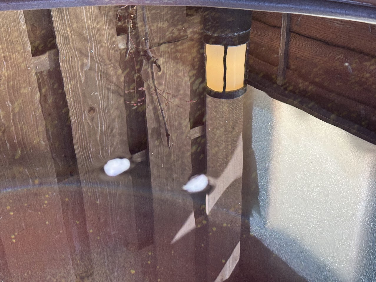 露天風呂に浮かぶソメイヨシノの花びら