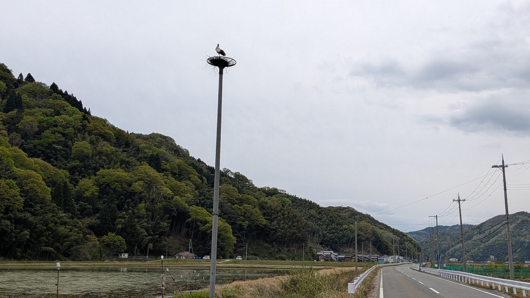 楽々浦湾から玄武洞に行く道中にあるこうのとりの巣塔