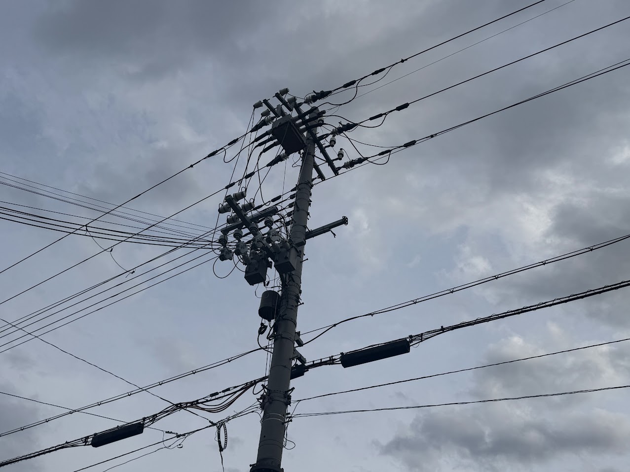 かどや前の電柱
