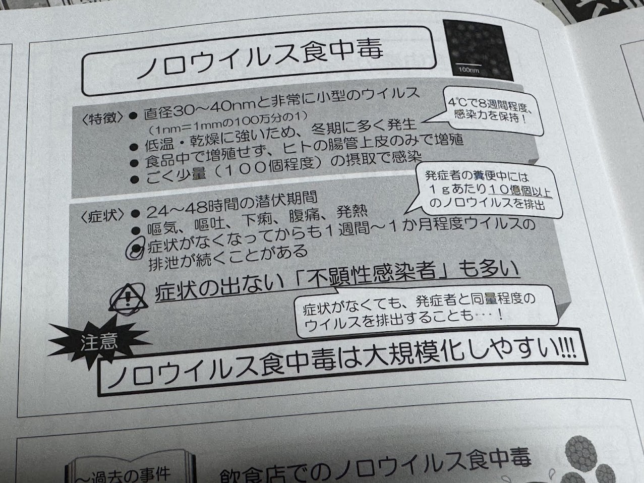 ノロウイルスとは？