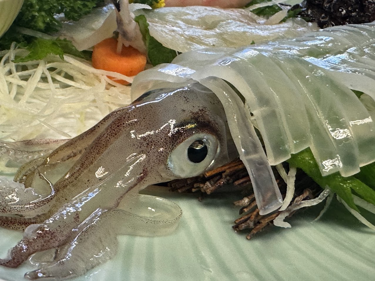 さばいた直後の活イカ