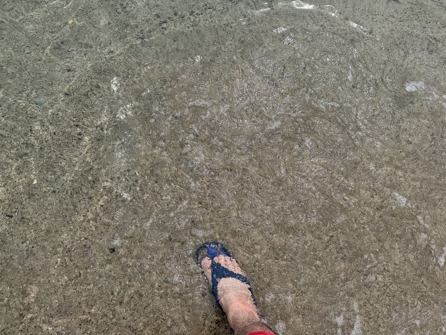 海水浴場の水温をチェック!!