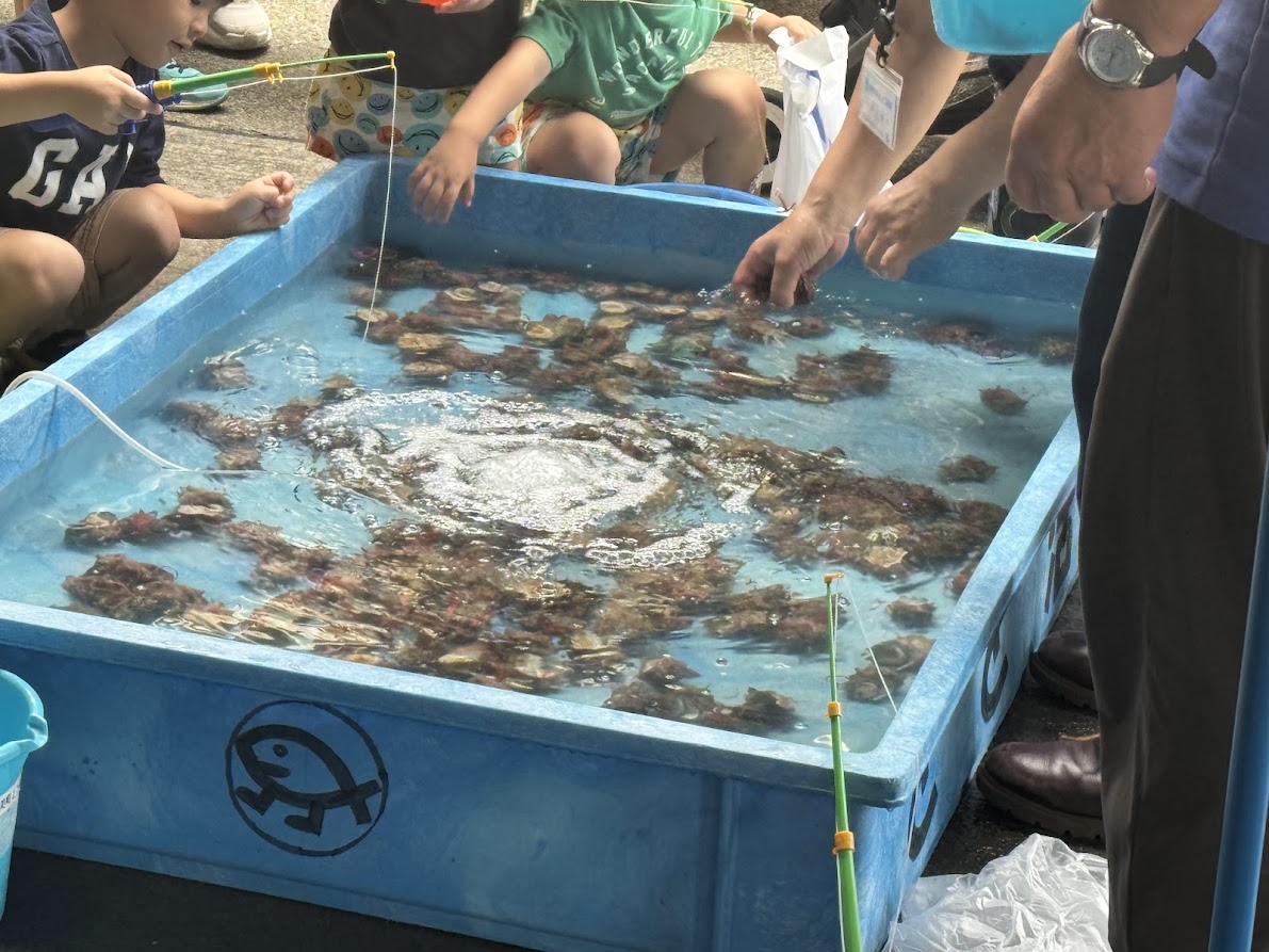 もはや定番となったサザエ釣りも大人気！！