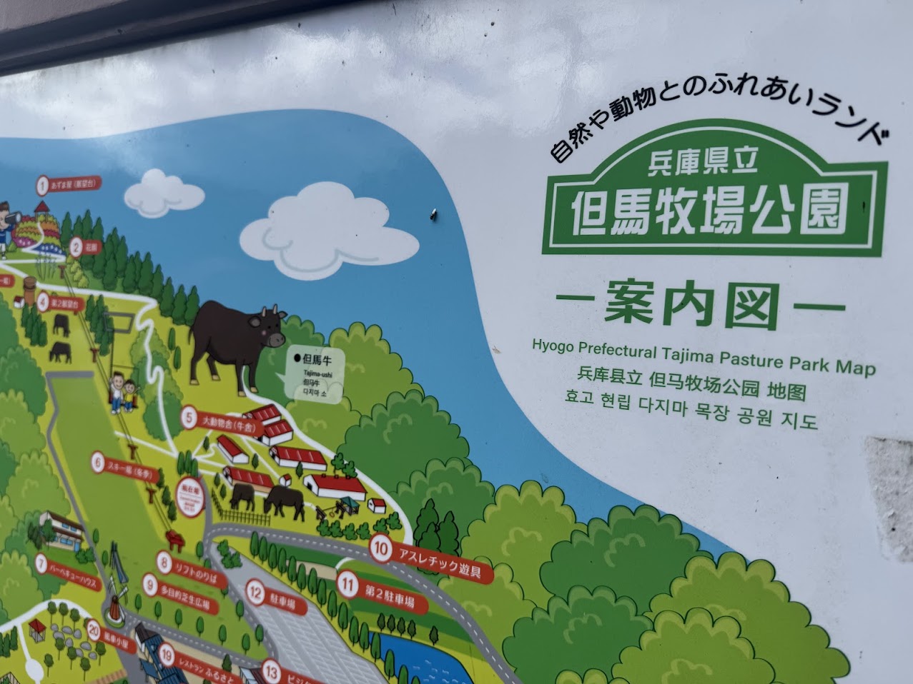 但馬牧場公園内に見学無料の牛舎があります!!