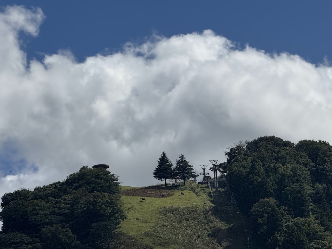 但馬牧場公園にて