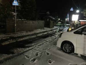 夜の雪